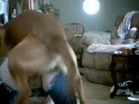 Doggy style dog zoophilia with a hot ass wife in need for sex